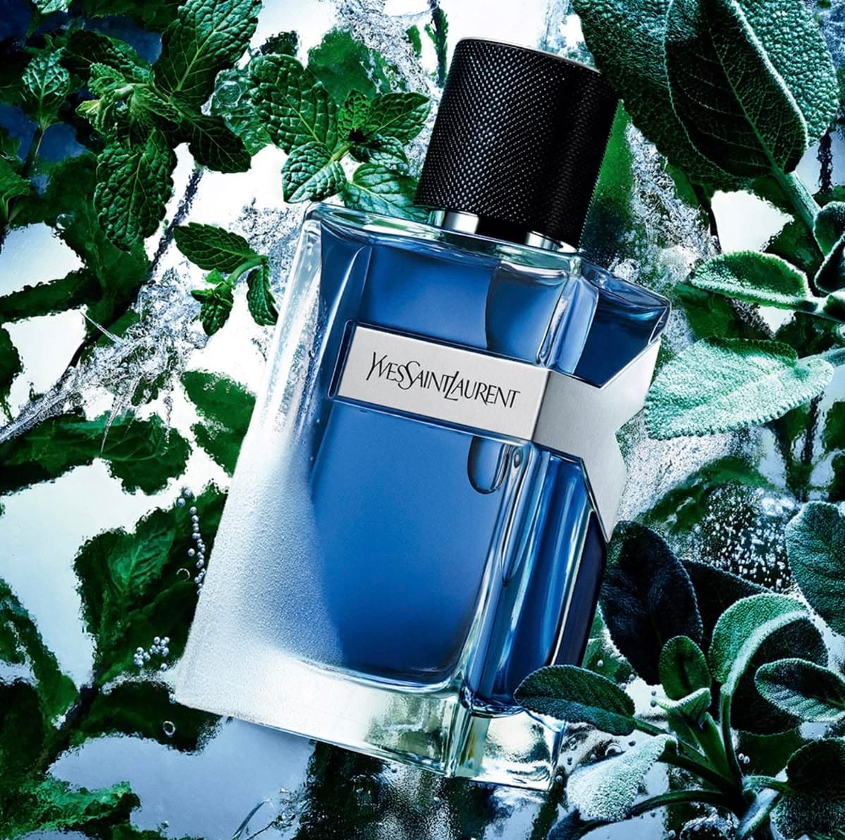Y Iced Cologne Yves Saint Laurent — parfum homme — Eau d'Or Tunis