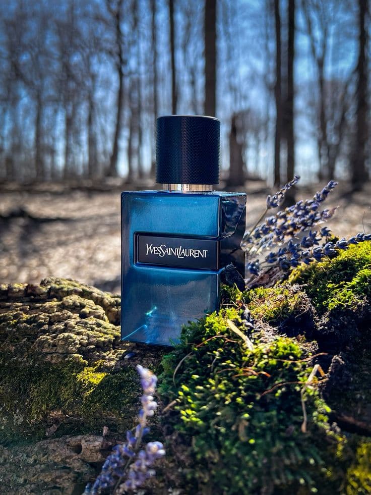 Y Elixir Yves Saint Laurent — parfum homme — Eau d'Or Tunis