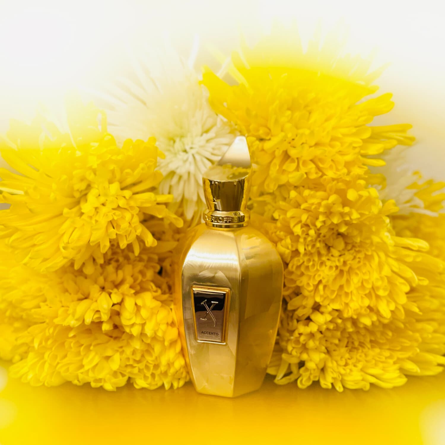 Accento Overdose Xerjoff — parfum unisexe — Eau d'Or Tunis